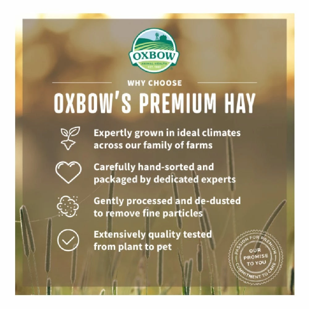 Oxbow Orchard Grass Hay, 15 oz. - Small Animal Feed & Treats 7 Oxbow Orchard Grass Hay, 15 oz. - Small Animal Feed & Treats - Image 5
