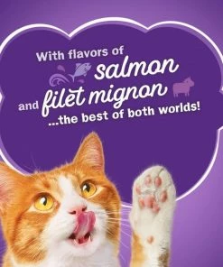 Purina Friskies Surfin' & Turfin' Favorites Adult Dry Cat Food, 22 lb. Bag -Pets & Wildlife Sales Store 6cb925831bf7cf2d89d09b4a8607299d017fc951 35202139 9