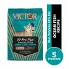 Victor Hi-Pro Plus Active Dry Cat & Kitten Food, Ocean Fish Recipe, 5 lb. Bag - Dry Cat Food