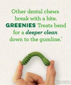 Greenies® Original Petite Dog Dental Chews, 20 Count Pack - Dog Treats 16 Greenies® Original Petite Dog Dental Chews, 20 Count Pack - Dog Treats -Pets & Wildlife Sales Store 6d84abb651e230139375e8158cd5961ec050b89f 71900142 4