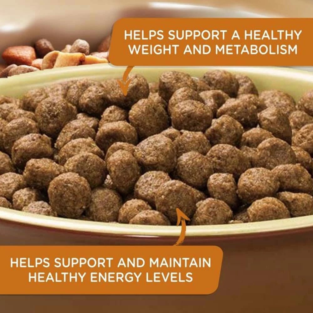 Rachael Ray Nutrish Real Turkey, Brown Rice & Venison Recipe Premium Dry Dog Food, 26 lb. Bag 10 Rachael Ray Nutrish Real Turkey, Brown Rice & Venison Recipe Premium Dry Dog Food, 26 lb. Bag - Image 8