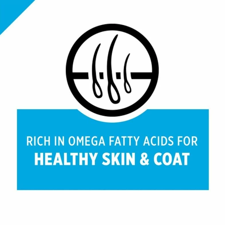 Purina Pro Plan FOCUS Chicken & Liver Entrée Wet Kitten Food, 3 oz. Can - Wet Cat Food 11 Purina Pro Plan FOCUS Chicken & Liver Entrée Wet Kitten Food, 3 oz. Can - Wet Cat Food - Image 9