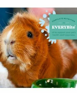 Oxbow Simple Harvest Adult Guinea Pig Food, 4 lb. Bag - Small Animal Feed & Treats -Pets & Wildlife Sales Store 6fb607819e3d9d2cab3b47f3b8032f85956ed7c9 667980011 3