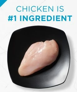 Purina Pro Plan Hairball Management Chicken & Rice Formula Adult Dry Cat Food, 7 lb. Bag -Pets & Wildlife Sales Store 71dcca3f0ca739553d0344a72bb5f886ca4422ed 00038100131515 04