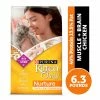 NESTLE PURINA PETCARE CO Purina Kitten Chow Nurture Muscle + Brain Development Dry Kitten Food, 6.3 lb. Bag - Dry Cat Food -Pets & Wildlife Sales Store 72a8319d0892b8ba619584e9f3a95d86898ad941 42040329