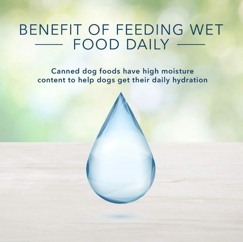 Blue Buffalo Freedom Adult Chicken Recipe Grain-Free Canned Dog Food 12.5 oz. - Wet Dog Food 6 Blue Buffalo Freedom Adult Chicken Recipe Grain-Free Canned Dog Food 12.5 oz. - Wet Dog Food - Image 4