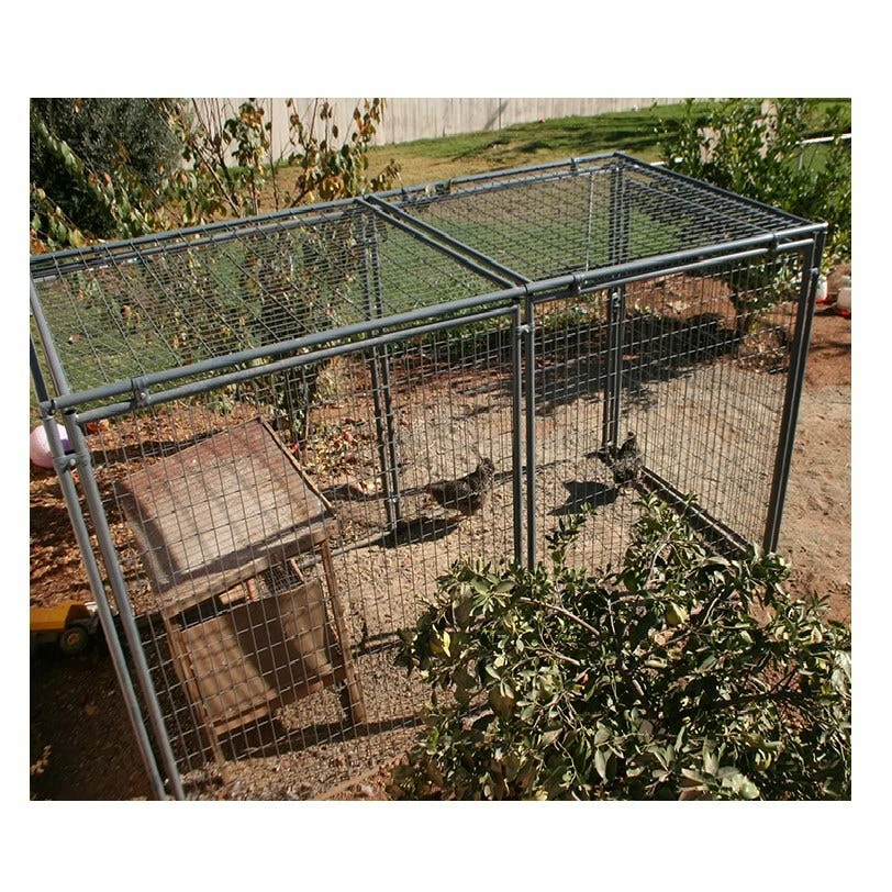 Rugged Ranch Welded Wire 5 x 10 Kennel Top Powder Coat - DG510PCWT - Dog Houses & Kennels 3 Rugged Ranch Welded Wire 5 x 10 Kennel Top Powder Coat - DG510PCWT - Dog Houses & Kennels