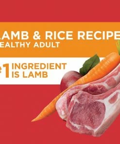 Iams Mini-Chunks Adult Lamb & Rice Recipe Dry Dog Food, 15 lb. Bag -Pets & Wildlife Sales Store 76e5819acb7a69dcc06722f86a59bcc452113631 10951479 2