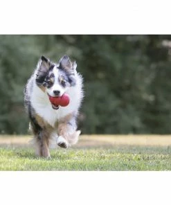 Kong®Classic Md - Dog Toys 13 Kong®Classic Md - Dog Toys -Pets & Wildlife Sales Store 76ec08123753107fef75e25454fba14f1b418e3f t2 6