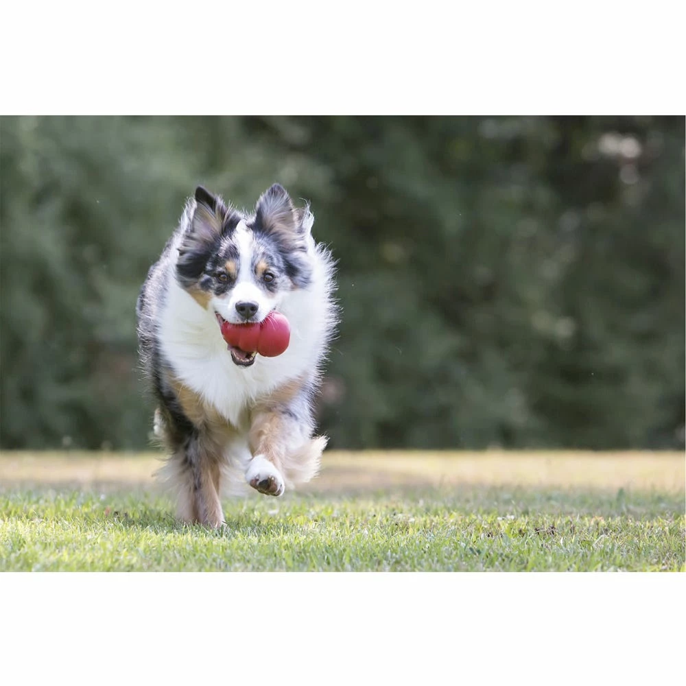 Kong®Classic Md - Dog Toys 8 Kong®Classic Md - Dog Toys - Image 6