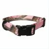 Scott Pet Adjustable Collar - 1429PKLG - Dog Collars & Leashes 2 Scott Pet Adjustable Collar - 1429PKLG - Dog Collars & Leashes -Pets & Wildlife Sales Store 78a344444a2b063ff2a146f47ed0e2603aafc169 20809606
