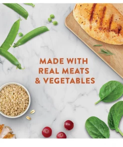 Chicken Soup for the Soul Classic Dog - Chicken, Brown Rice, & Vegtables Cuts in Gravy Recipe Canned Wet Dog Food, 13 oz. Can -Pets & Wildlife Sales Store 7981e206699d60aa968b5ea04e5b250273c492d9 2022003821 4