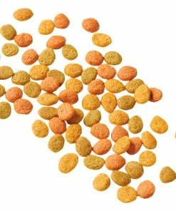 Purina Cat Chow Hairball, Healthy Weight, Indoor Dry Cat Food, 15 lb. Bag 25 Purina Cat Chow Hairball, Healthy Weight, Indoor Dry Cat Food, 15 lb. Bag -Pets & Wildlife Sales Store 79bdc6e8d80988c10fbb23a08c2d1922157c8ede 42040125 12