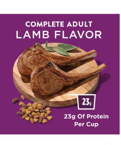 NESTLE PURINA PETCARE CO Purina Dog Chow Complete Adult Real Lamb Dry Dog Food, 46 lb. Bag -Pets & Wildlife Sales Store 7c0bf3a07547e7ca3591e32eb4caab7b0ff324ae 2022019312 2