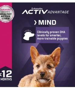 Eukanuba Puppy Small Breed Chicken Formula Dry Dog Food, 15 lb. Bag -Pets & Wildlife Sales Store 7eaaf98c14040d4852edbcb1644f7dcc7ade1e46 55682006 4