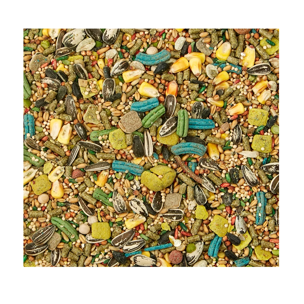 Kaytee Forti-Diet Pro Health Hamster & Gerbil Food, 5 lb. Bag - 100502074 - Small Animal Feed & Treats 5 Kaytee Forti-Diet Pro Health Hamster & Gerbil Food, 5 lb. Bag - 100502074 - Small Animal Feed & Treats - Image 3