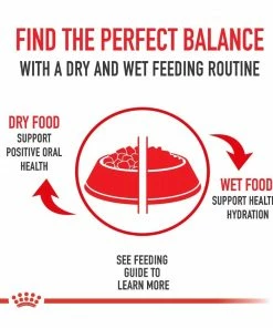 Royal Canin® Size Health Nutrition™ Large Adult 5+ Dry Dog Food, 30 lb. Bag -Pets & Wildlife Sales Store 7f6f3a331477c6dd95e3cf5527b49caff3476579 2022023167 5