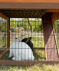 Various Brands Pet Rabbit Hutch with Peaked Roof, Medium - RHW3005010R1 - Rabbit Starter Kits -Pets & Wildlife Sales Store 80faad933b1bf0f0bbb5b2994d79b5e3441519f4 34510002 4