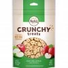 Nutro™ Crunchy Treats With Real Apple Treats for Dogs, 10 oz. Pouch - Dog Treats