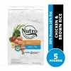 Nutro Natural Choice Chicken & Brown Rice Recipe Natural Dry Puppy Food, 5 lb. Bag - Dry Dog Food -Pets & Wildlife Sales Store 829d324a2f6cd8e247448f7de03454e72c34c8ab 75490441