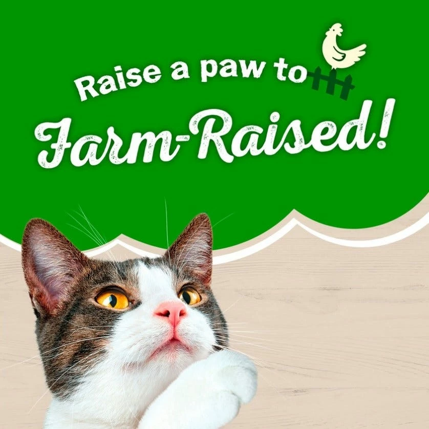 Purina Friskies Natural Pate Wet Cat Food Farm Favorites with Chicken and Carrots 5.5 oz. Cans 10 Purina Friskies Natural Pate Wet Cat Food Farm Favorites with Chicken and Carrots 5.5 oz. Cans - Image 8