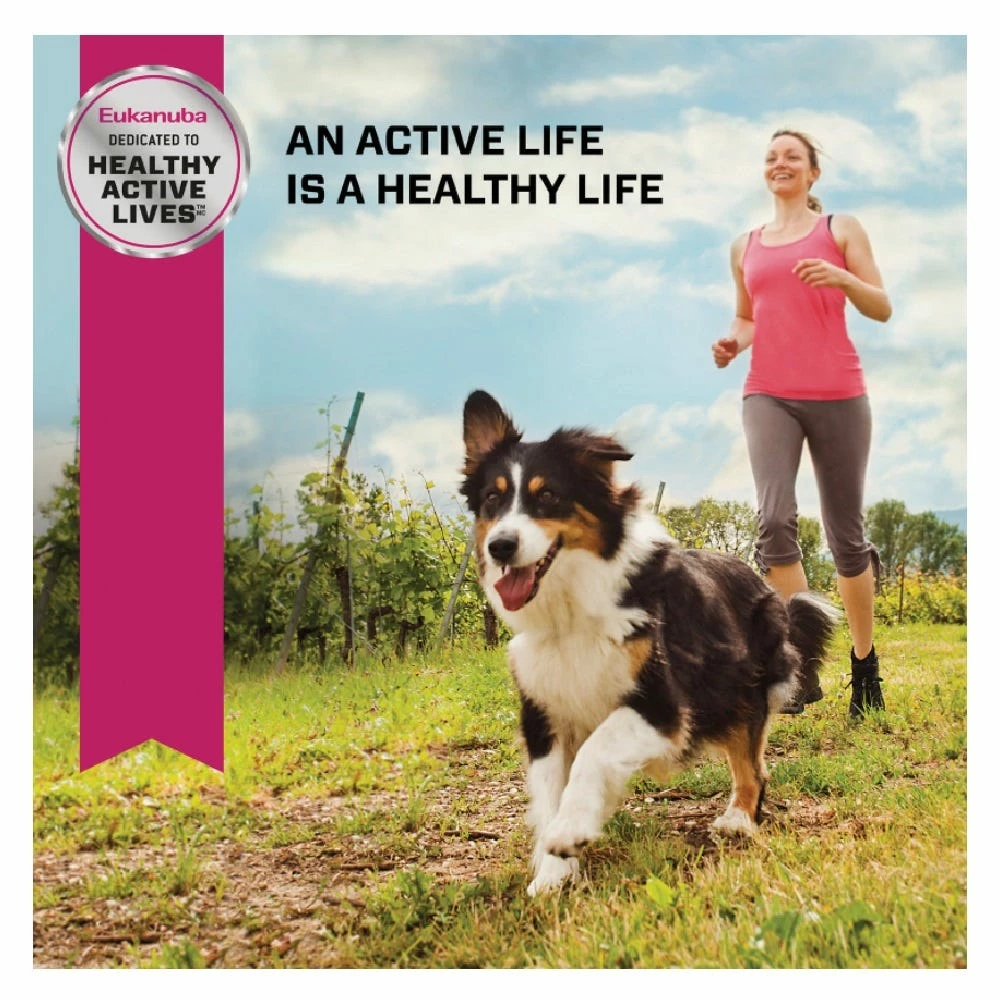 Eukanuba Small Bites Adult Dry Dog Food with Chicken, 4.5 lb. Bag 9 Eukanuba Small Bites Adult Dry Dog Food with Chicken, 4.5 lb. Bag - Image 7