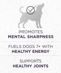 Purina ONE SmartBlend Vibrant Maturity Adult 7+ Formula Dry Dog Food with Real Chicken, 8 lb. Bag -Pets & Wildlife Sales Store 845009dfd8cad0c04eb1a076f51125257ae16640 352020254 4