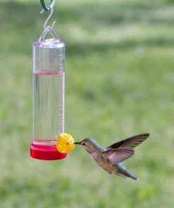 Woodstream Perky-Pet Planter Box Hummingbird Feeder with Hanger - 215P -Pets & Wildlife Sales Store 84dbf07fb1160c9cecd2d31bc3d5f98075f1fb4f 80331761 3