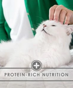 Purina Fancy Feast Flaked Fish & Shrimp Feast Wet Cat Food, 3 oz. Can -Pets & Wildlife Sales Store 854c4c36065e25cb36479db60c5dfb401e7cd8cf 00050000428748 21