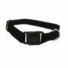 Scott Pet Xtra-Small Adjustable Nylon Dog Collar, Black - 1424BKXS - Dog Collars & Leashes -Pets & Wildlife Sales Store 85f28180eaeecd06d3a24693ead4c80ddc05e8aa 20801954
