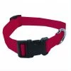 Scott Pet Adjustable Collar - 1425SFSM - Dog Collars & Leashes 1 Scott Pet Adjustable Collar - 1425SFSM - Dog Collars & Leashes -Pets & Wildlife Sales Store 87318a44509382ccb15ec45028d4fd7ec4e6dd14 20809029
