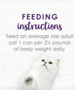 Purina Fancy Feast Delights Grilled Turkey & Cheddar Cheese Feast in Gravy Wet Cat Food, 3 oz. Can -Pets & Wildlife Sales Store 8753eb883a294102757940b4f3d016636b6b851b 35201182 3