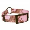 Scott Pet Center Ring Collar - 1649PK16 - Dog Collars & Leashes -Pets & Wildlife Sales Store 87ce76cb78d2e98c1cf4e54bc20c2b2dbe4d2a0e 20809620