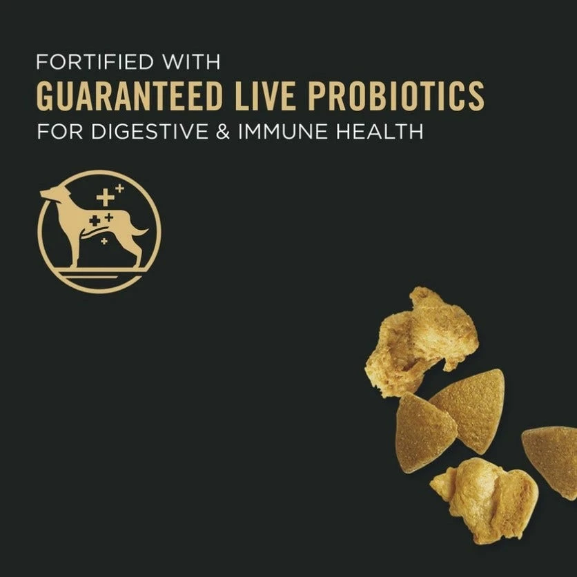 Purina Pro Plan Adult Complete Essentials Shredded Blend Chicken & Rice Dry Dog Food, 35 lb. Bag 9 Purina Pro Plan Adult Complete Essentials Shredded Blend Chicken & Rice Dry Dog Food, 35 lb. Bag - Image 7