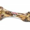 Masters Best Friend Extra Large Dino Bone - Dog Treats -Pets & Wildlife Sales Store 8943a381223b583b81e6204b25414da0c0d04801 259920050 259920050 image 259920050