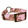 Scott Pet Center Ring Collar - 1649PK14 - Dog Collars & Leashes -Pets & Wildlife Sales Store 8a5aa450ec21ef399d230817b0e1841ffb6a21b0 20809616