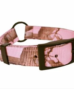 Scott Pet Center Ring Collar - 1649PK14 - Dog Collars & Leashes