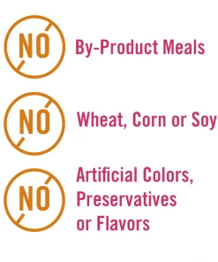Chicken Soup for the Soul Small Bites - Chicken, Turkey & Brown Rice Recipe Dry Dog Food, 28 lb. Bag -Pets & Wildlife Sales Store 8a9af53bc8da5a3e2392b120cbd1f870febc08bd 2022003780 2