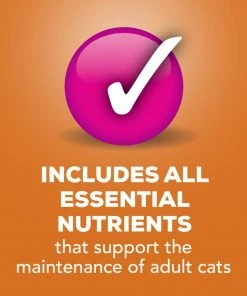 Purina Friskies Pate Poultry Platter Wet Cat Food, 5.5 oz. Can -Pets & Wildlife Sales Store 8c5dacb03ccdb7cddbc010ff8ce08cdb65adccf4 00050000423644 06