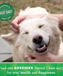 Greenies® Original Petite Dog Dental Chews, 20 Count Pack - Dog Treats 14 Greenies® Original Petite Dog Dental Chews, 20 Count Pack - Dog Treats -Pets & Wildlife Sales Store 8d599f2386eb4cea53b23d569552e24adfb0c64b 71900142 3