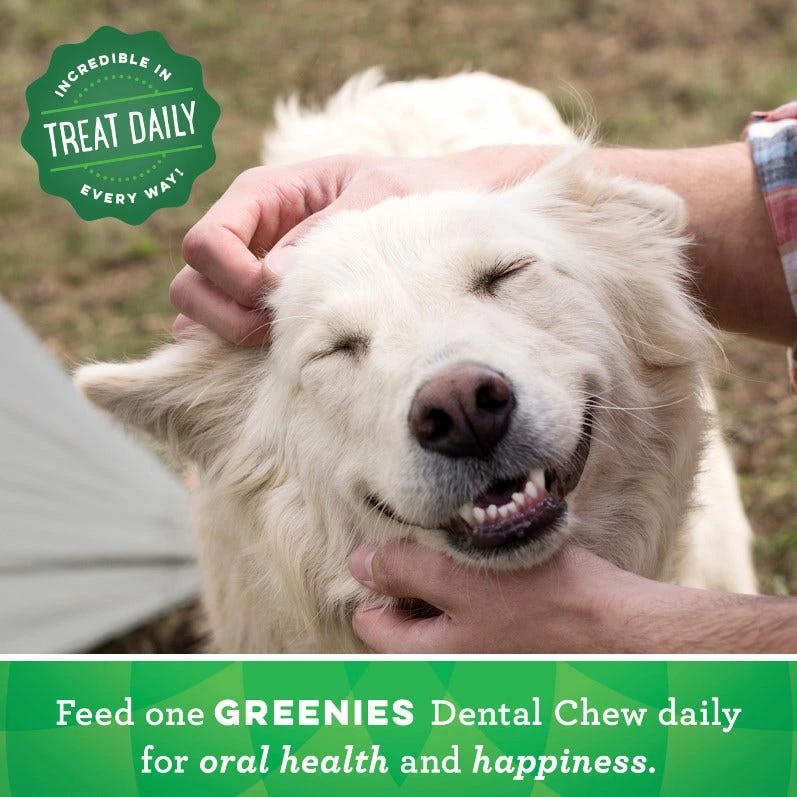 Greenies® Original Petite Dog Dental Chews, 20 Count Pack - Dog Treats 6 Greenies® Original Petite Dog Dental Chews, 20 Count Pack - Dog Treats - Image 4