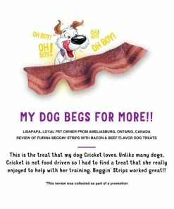Purina Beggin' Strips Dog Training Treats, Bacon & Beef Flavors, 48 oz. - Dog Treats -Pets & Wildlife Sales Store 8d75e8802fbbff34d3c436b1ee205063b92f1750 352020235 7
