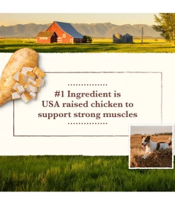 Whole Earth Farms Small Breed Recipe Chicken Dinner, 3.5 oz. Can - Wet Dog Food -Pets & Wildlife Sales Store 8ed876a29d4957e21058064afb02315cc0b3eb47 13735723 4