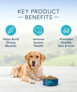 Blue Buffalo Life Protection Formula Adult Chicken & Brown Rice Recipe Dry Dog Food, 30 lb. Bag -Pets & Wildlife Sales Store 9067a54d296875e86009090645fee8d0ce25e5d0 13735008 9