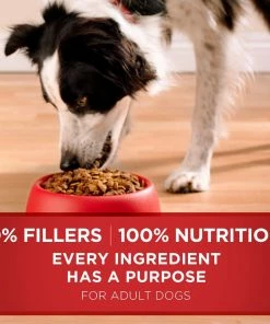 Purina ONE SmartBlend Natural Lamb & Rice Formula Adult Dry Dog Food, 40 lb. Bag -Pets & Wildlife Sales Store 90a576b6293f27c74d903488f23b728d7a45b21e 00017800167468 06