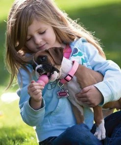 Kong®Puppy Md - Dog Toys -Pets & Wildlife Sales Store 90f07fbaacdf2178395cdd71a876b2d9e9192560 22078ea01e400e19b730d4d4ea7e2b64d725cd1a 39770141 5