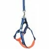 Terrain D.O.G. Reflective Neoprene Lined Dog Harness, Medium, Dark Blue - 07-9364-R12 - Dog Collars & Leashes