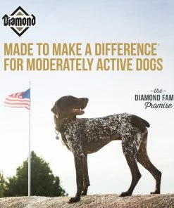 Diamond Maintenance for Moderately Active Adult Dogs, 50 lb. Bag - Dry Dog Food 14 Diamond Maintenance for Moderately Active Adult Dogs, 50 lb. Bag - Dry Dog Food -Pets & Wildlife Sales Store 945df0c3e0308509d4237636ddeb5427cd34a80a 60610029 7