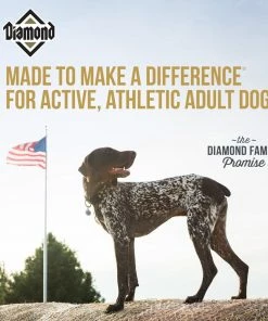 Diamond Premium Adult for Active Athletic Dogs, 50 lb. Bag - Dog Food 10 Diamond Premium Adult for Active Athletic Dogs, 50 lb. Bag - Dog Food -Pets & Wildlife Sales Store 9554fa780a6ca78ca269639ad0bd0ca44076346a 60610016 4