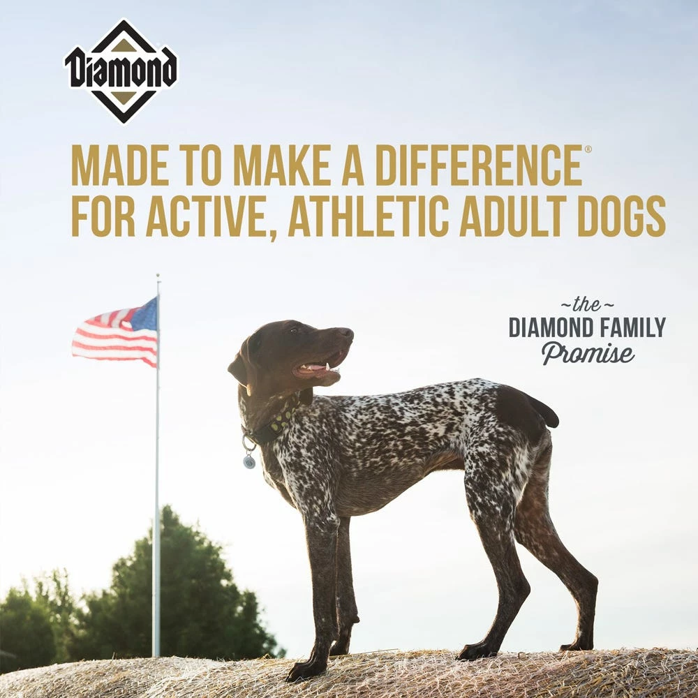 Diamond Premium Adult for Active Athletic Dogs, 50 lb. Bag - Dog Food 6 Diamond Premium Adult for Active Athletic Dogs, 50 lb. Bag - Dog Food - Image 4